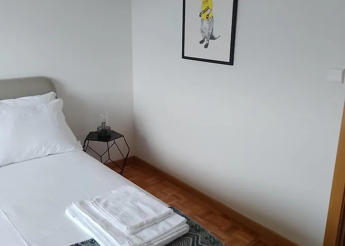 10º Esquerdo Vila Real